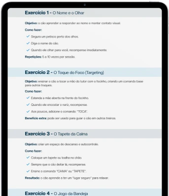 exercicio_1-ipad-2