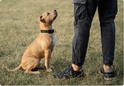 foto_card_1_card_beneficio