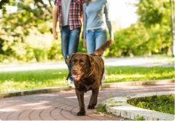 foto_card_2_beneficio