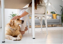 foto_card_3_beneficio